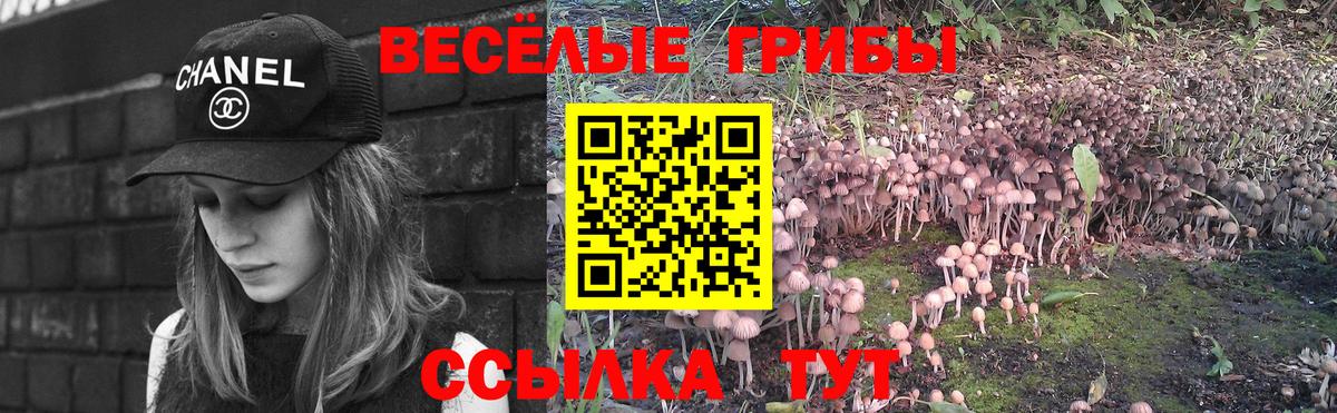 Асбест  Галлюциногенные грибы GOLDEN TEACHER  Вход с VPN 